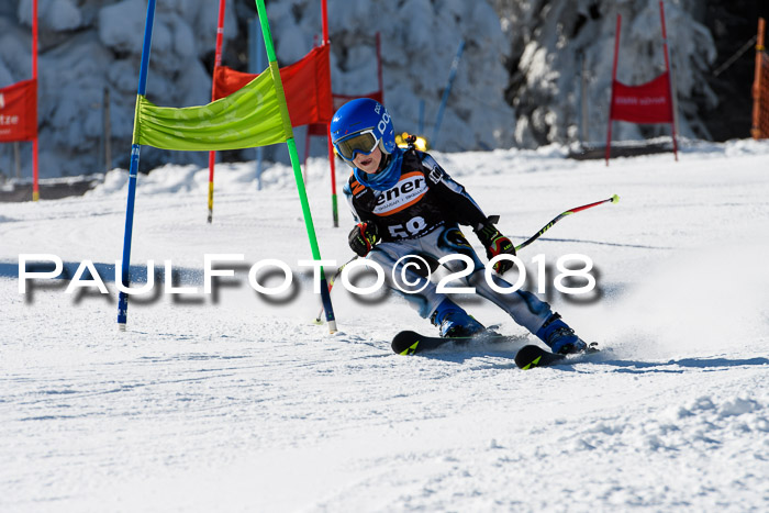 Ziener Cup WF, Finale, Quali + Parallelslalom, 24.03.2018