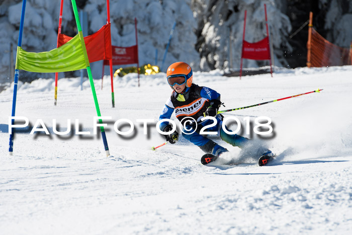 Ziener Cup WF, Finale, Quali + Parallelslalom, 24.03.2018