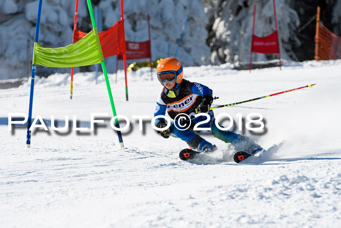 Ziener Cup WF, Finale, Quali + Parallelslalom, 24.03.2018