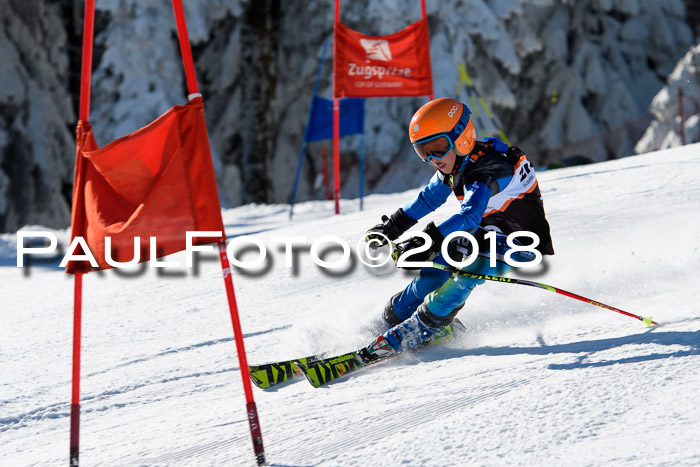 Ziener Cup WF, Finale, Quali + Parallelslalom, 24.03.2018