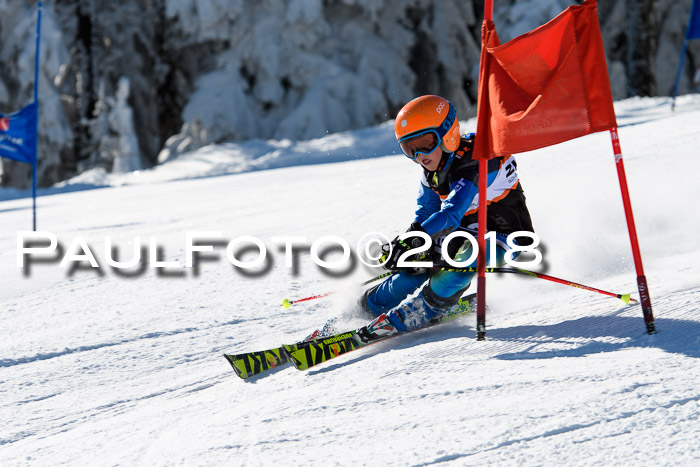 Ziener Cup WF, Finale, Quali + Parallelslalom, 24.03.2018