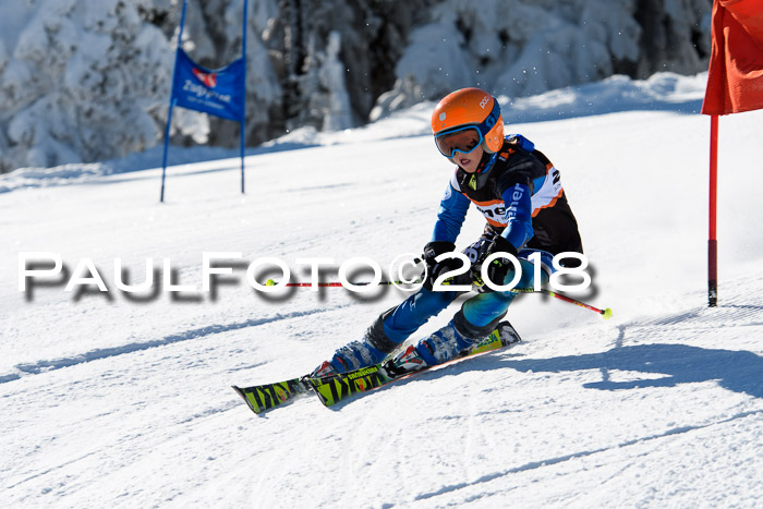 Ziener Cup WF, Finale, Quali + Parallelslalom, 24.03.2018