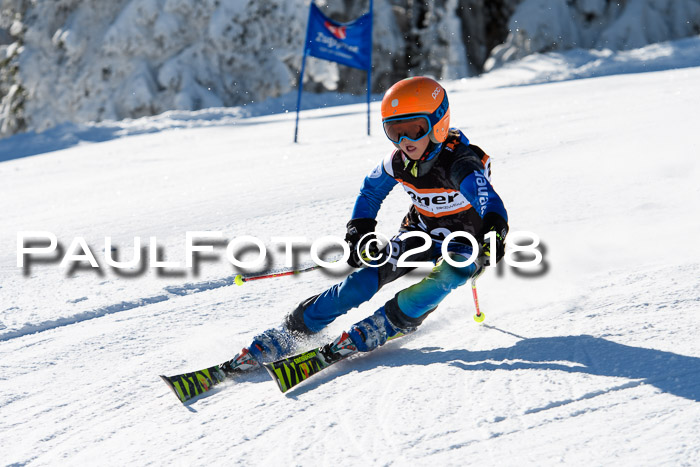 Ziener Cup WF, Finale, Quali + Parallelslalom, 24.03.2018