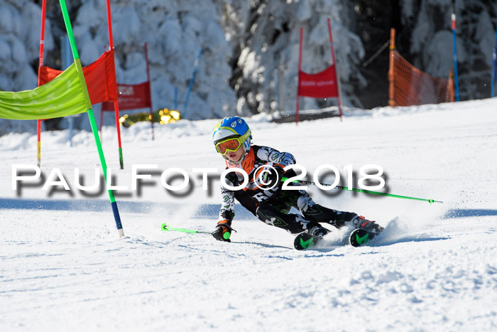 Ziener Cup WF, Finale, Quali + Parallelslalom, 24.03.2018