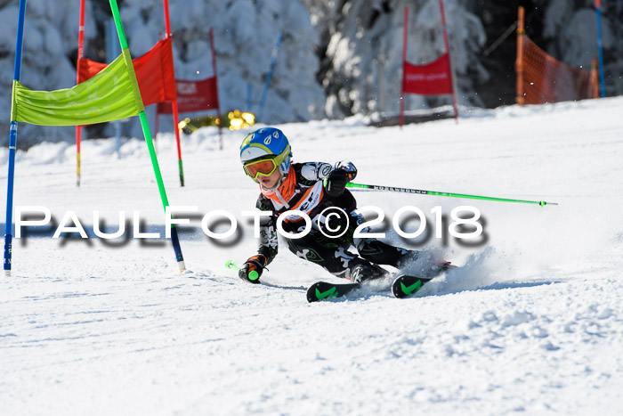 Ziener Cup WF, Finale, Quali + Parallelslalom, 24.03.2018