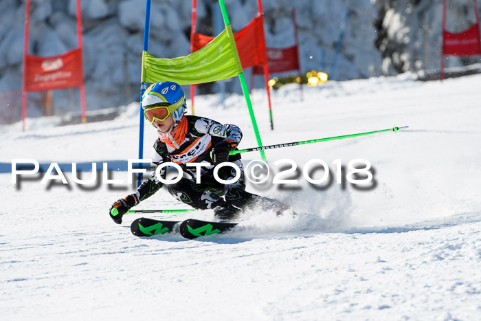 Ziener Cup WF, Finale, Quali + Parallelslalom, 24.03.2018