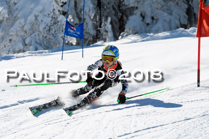 Ziener Cup WF, Finale, Quali + Parallelslalom, 24.03.2018