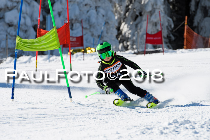 Ziener Cup WF, Finale, Quali + Parallelslalom, 24.03.2018