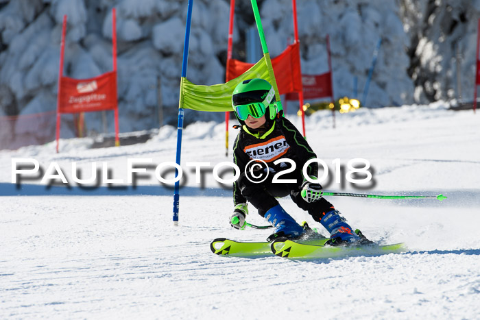 Ziener Cup WF, Finale, Quali + Parallelslalom, 24.03.2018