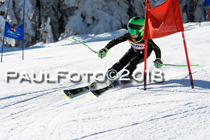 Ziener Cup WF, Finale, Quali + Parallelslalom, 24.03.2018