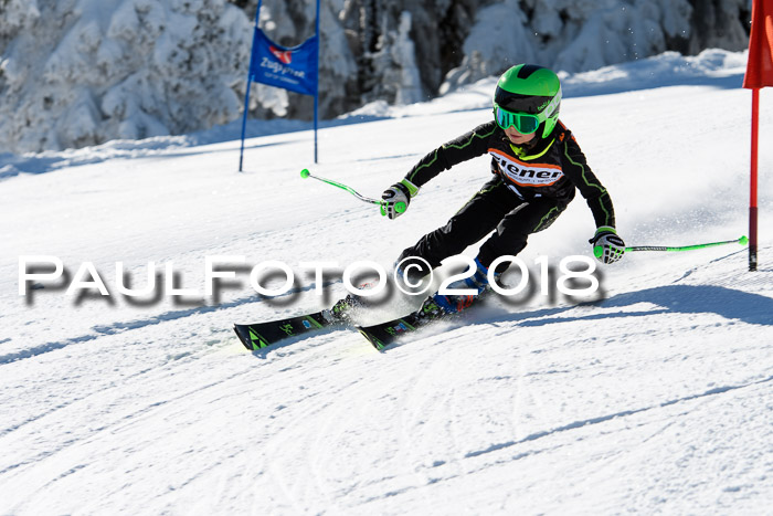 Ziener Cup WF, Finale, Quali + Parallelslalom, 24.03.2018