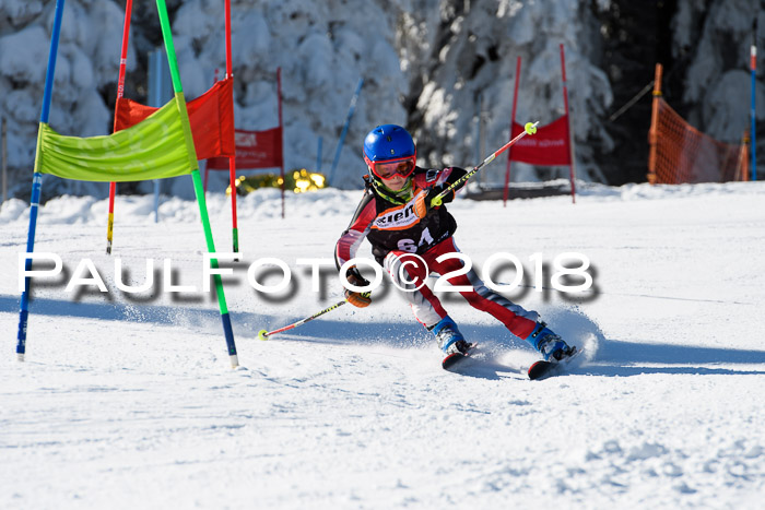 Ziener Cup WF, Finale, Quali + Parallelslalom, 24.03.2018