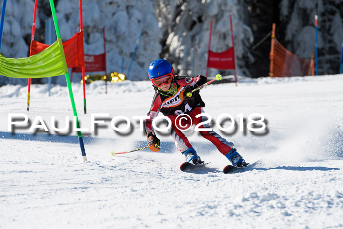 Ziener Cup WF, Finale, Quali + Parallelslalom, 24.03.2018