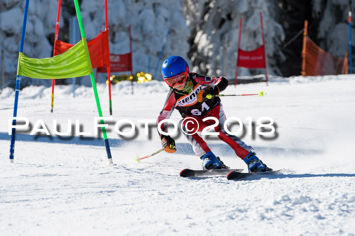 Ziener Cup WF, Finale, Quali + Parallelslalom, 24.03.2018