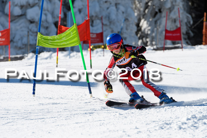 Ziener Cup WF, Finale, Quali + Parallelslalom, 24.03.2018