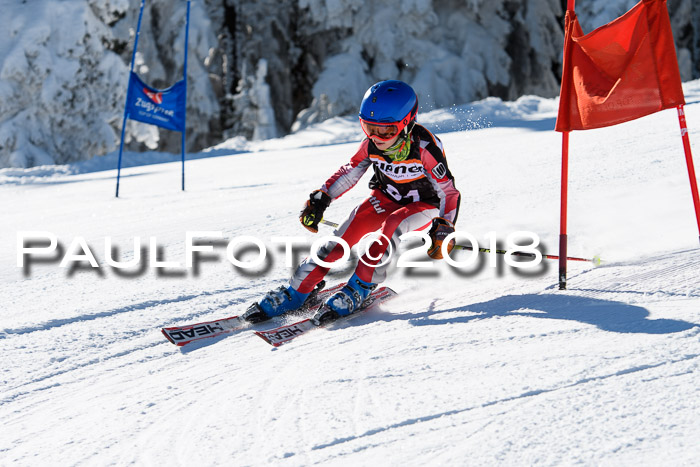Ziener Cup WF, Finale, Quali + Parallelslalom, 24.03.2018
