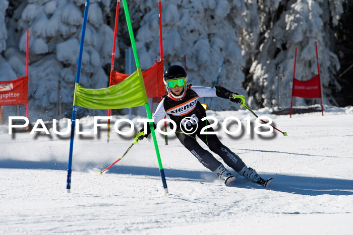 Ziener Cup WF, Finale, Quali + Parallelslalom, 24.03.2018
