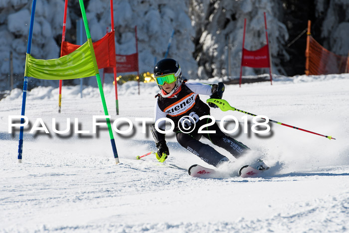 Ziener Cup WF, Finale, Quali + Parallelslalom, 24.03.2018