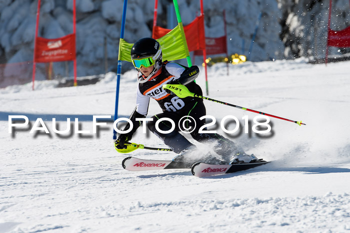 Ziener Cup WF, Finale, Quali + Parallelslalom, 24.03.2018