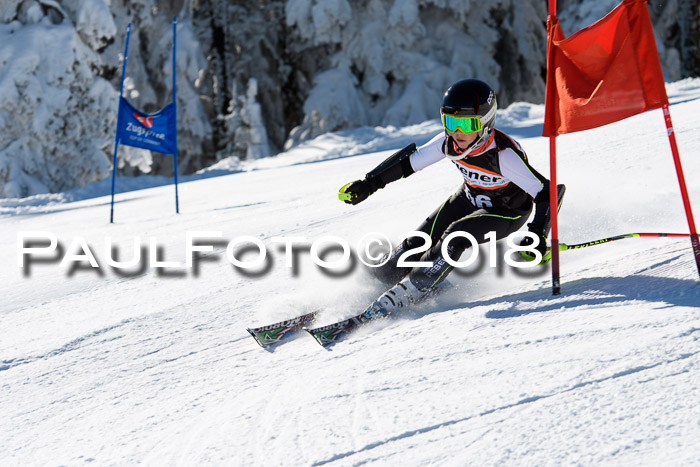 Ziener Cup WF, Finale, Quali + Parallelslalom, 24.03.2018