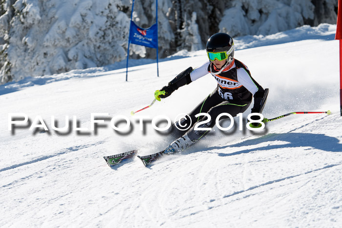 Ziener Cup WF, Finale, Quali + Parallelslalom, 24.03.2018