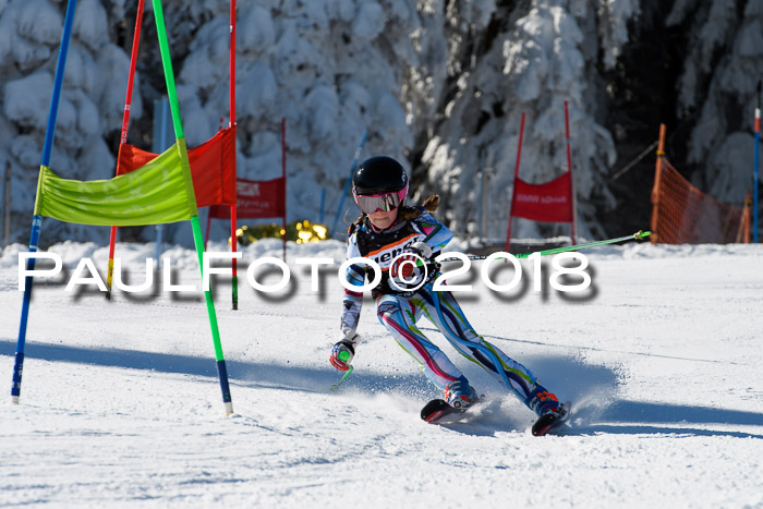 Ziener Cup WF, Finale, Quali + Parallelslalom, 24.03.2018