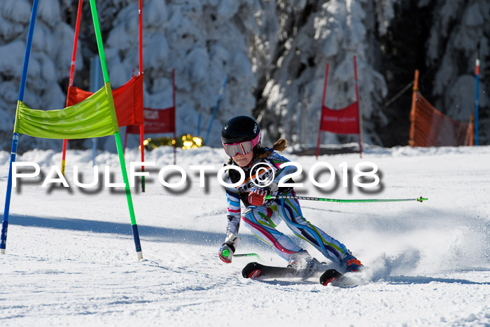 Ziener Cup WF, Finale, Quali + Parallelslalom, 24.03.2018