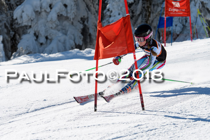 Ziener Cup WF, Finale, Quali + Parallelslalom, 24.03.2018