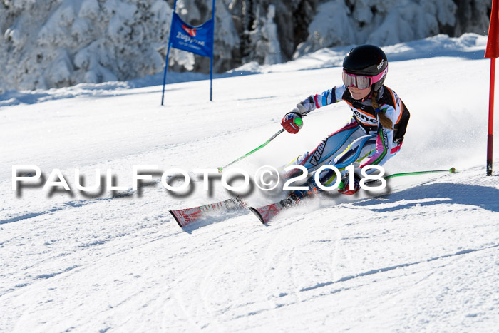 Ziener Cup WF, Finale, Quali + Parallelslalom, 24.03.2018