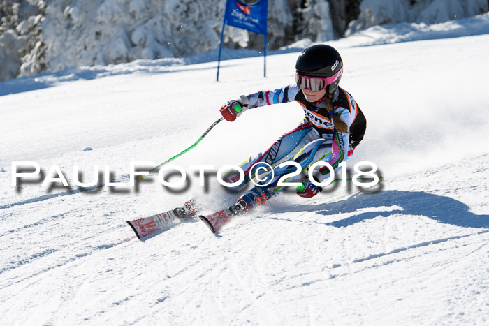 Ziener Cup WF, Finale, Quali + Parallelslalom, 24.03.2018