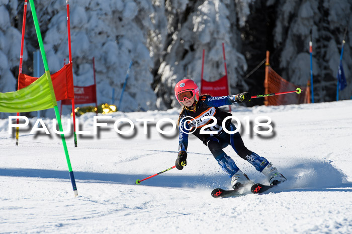 Ziener Cup WF, Finale, Quali + Parallelslalom, 24.03.2018