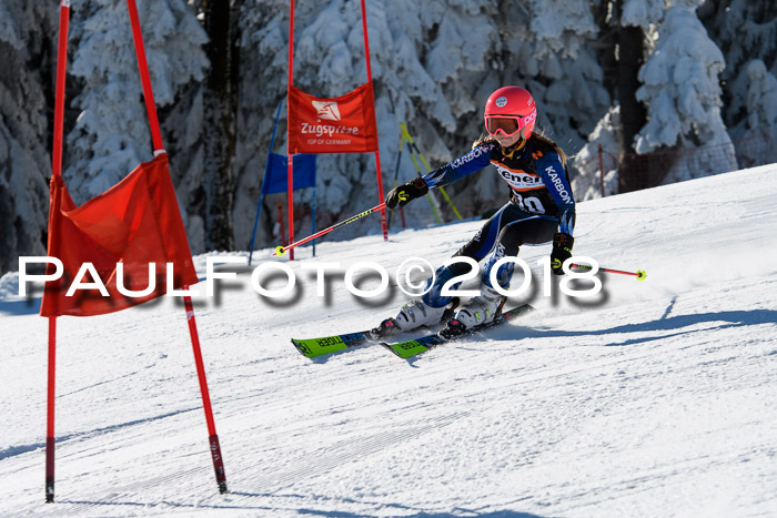 Ziener Cup WF, Finale, Quali + Parallelslalom, 24.03.2018