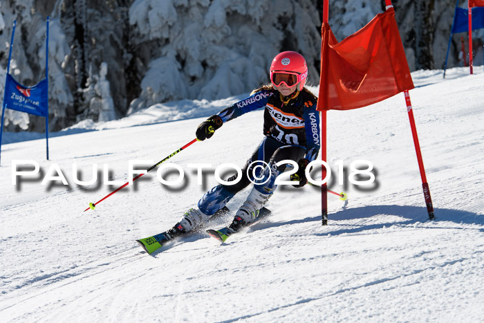 Ziener Cup WF, Finale, Quali + Parallelslalom, 24.03.2018