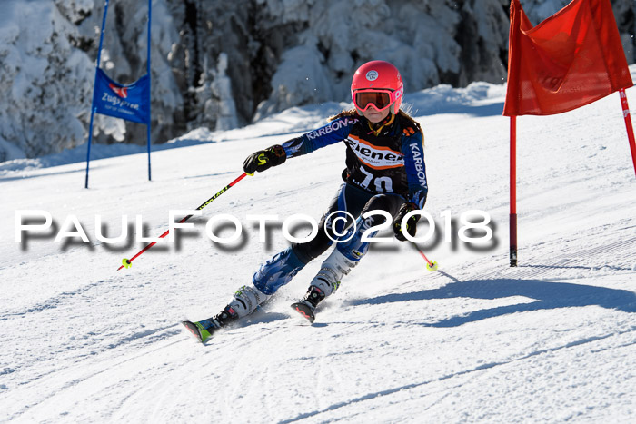 Ziener Cup WF, Finale, Quali + Parallelslalom, 24.03.2018