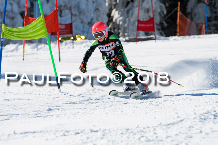 Ziener Cup WF, Finale, Quali + Parallelslalom, 24.03.2018