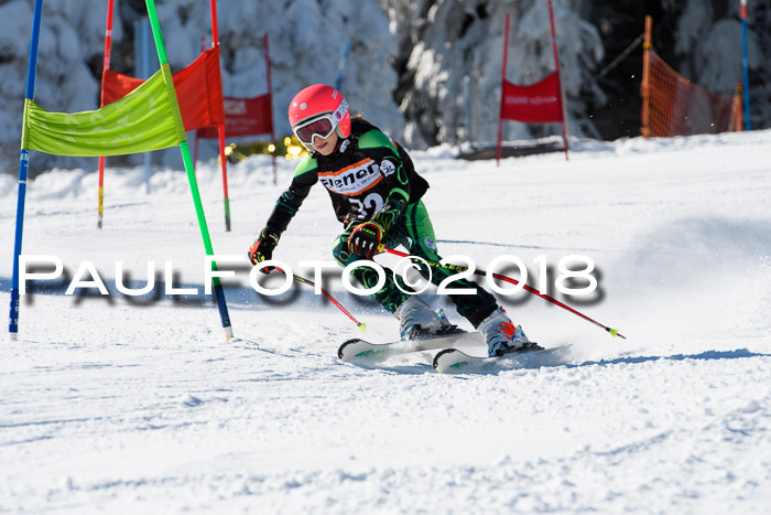 Ziener Cup WF, Finale, Quali + Parallelslalom, 24.03.2018