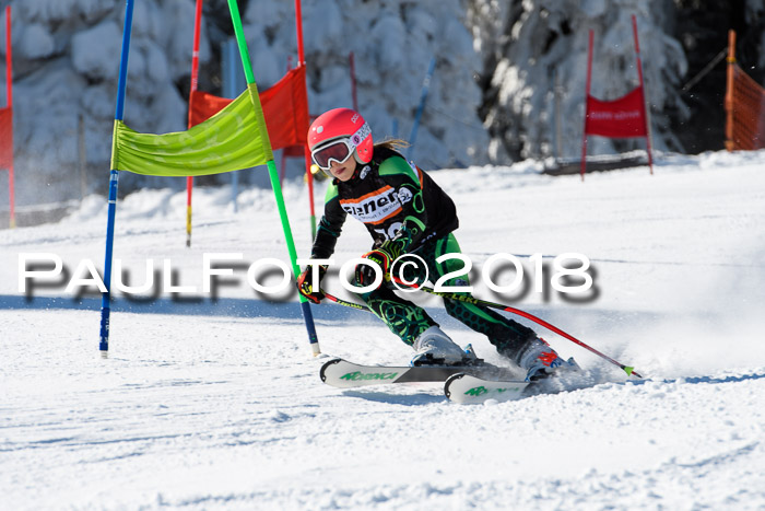 Ziener Cup WF, Finale, Quali + Parallelslalom, 24.03.2018