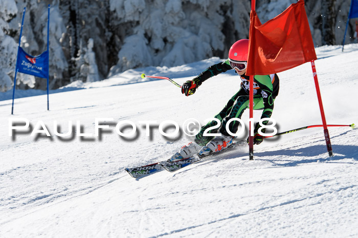 Ziener Cup WF, Finale, Quali + Parallelslalom, 24.03.2018