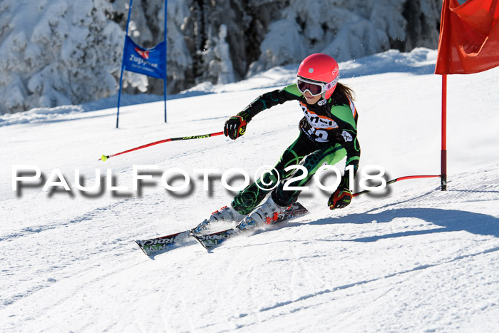 Ziener Cup WF, Finale, Quali + Parallelslalom, 24.03.2018