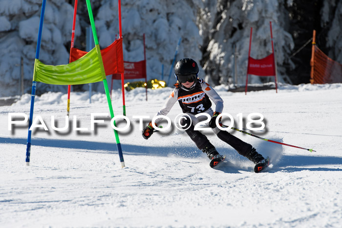Ziener Cup WF, Finale, Quali + Parallelslalom, 24.03.2018