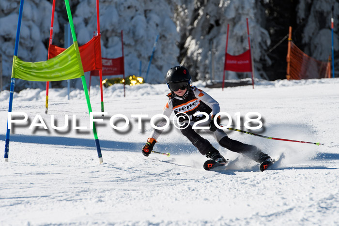 Ziener Cup WF, Finale, Quali + Parallelslalom, 24.03.2018