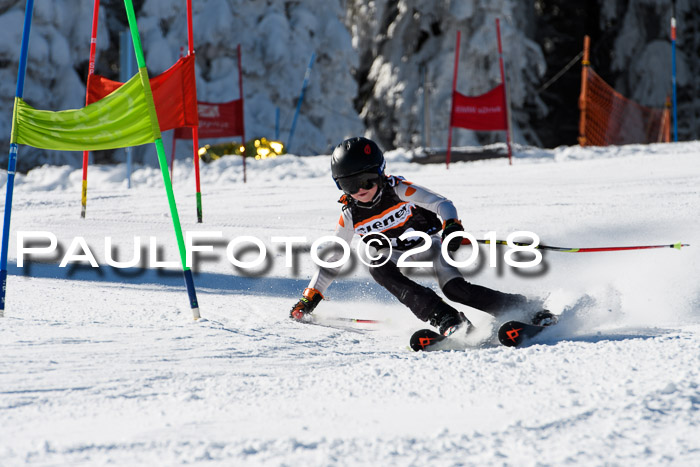 Ziener Cup WF, Finale, Quali + Parallelslalom, 24.03.2018