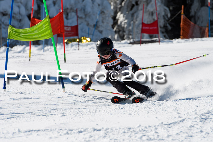Ziener Cup WF, Finale, Quali + Parallelslalom, 24.03.2018