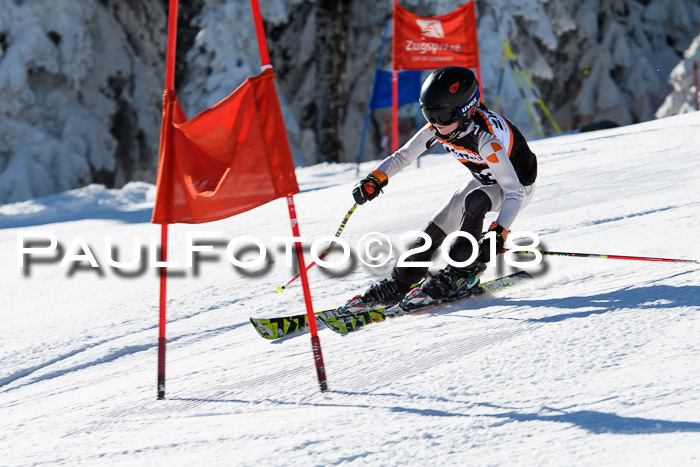 Ziener Cup WF, Finale, Quali + Parallelslalom, 24.03.2018