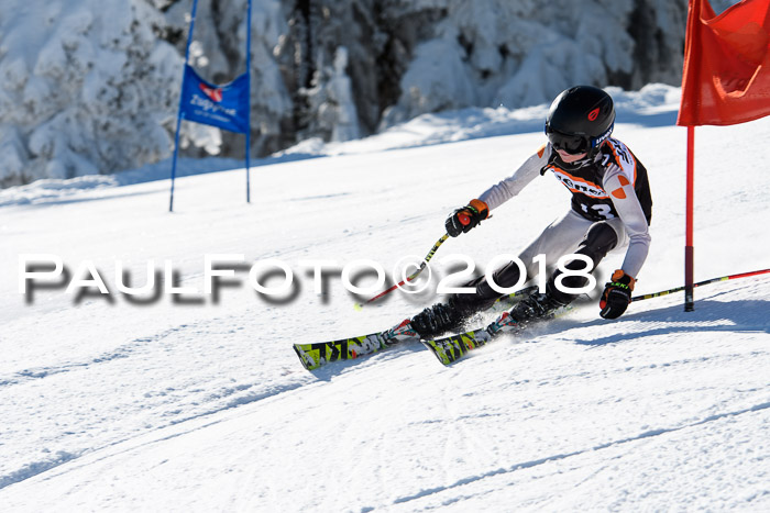 Ziener Cup WF, Finale, Quali + Parallelslalom, 24.03.2018