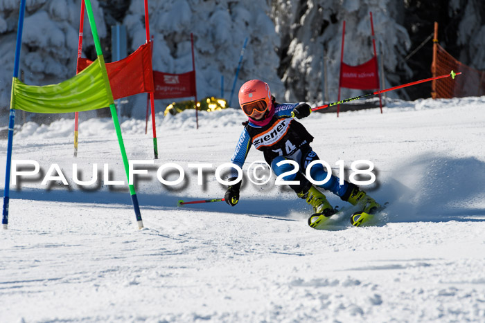Ziener Cup WF, Finale, Quali + Parallelslalom, 24.03.2018