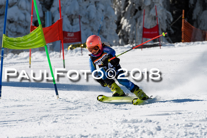 Ziener Cup WF, Finale, Quali + Parallelslalom, 24.03.2018