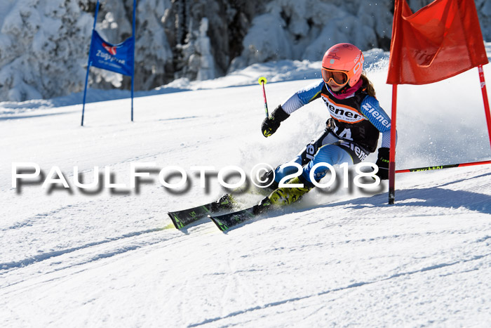 Ziener Cup WF, Finale, Quali + Parallelslalom, 24.03.2018