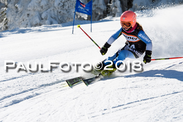 Ziener Cup WF, Finale, Quali + Parallelslalom, 24.03.2018