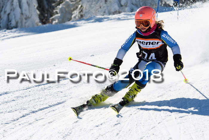 Ziener Cup WF, Finale, Quali + Parallelslalom, 24.03.2018